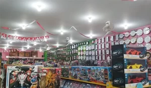 Toko Dolphin Cirebon